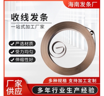 收線發(fā)條陀螺發(fā)射器大蒜器不銹鋼平面渦卷發(fā)條