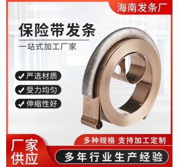 量大價優保險帶發條回位彈簧收拉線卷簧渦卷彈簧