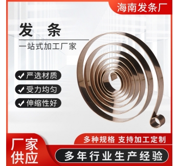 渦卷發(fā)條彈簧 臺鉆彈簧 鉆床彈簧配件 銑床彈簧