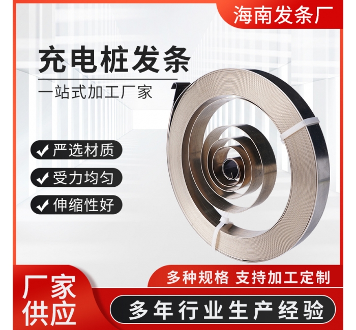 廠家批發(fā)充電樁發(fā)條不銹鋼剎車鋼帶汽車安全錘發(fā)條